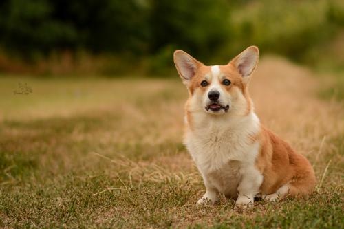 27319856 8084ff5bfecfabd5613ac252c8a1de03 xl