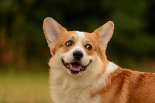 27319858 9ddcacab70bf3fcd02966fcbb8c4b9fd xl