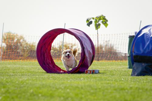 27341802 2f07eebc7515dcb77efa6a19ac5f7c7f xl