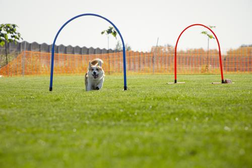 27341804 d726928954ea817ae09d705073d2d21f xl