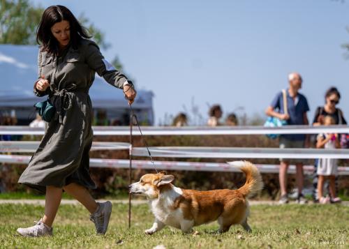 27341930 c3bb1d69c528e3e8343d47941f9a15f1 xl