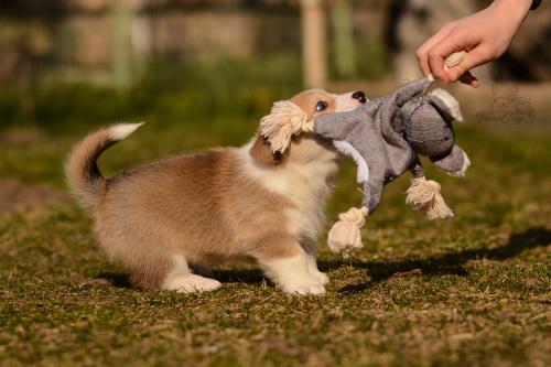 27029663 9e5587b338699d5bddea11cf3618a874 xl