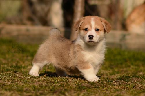 27029665 2dad9c0aa51defac296459a83a8ddad7 xl