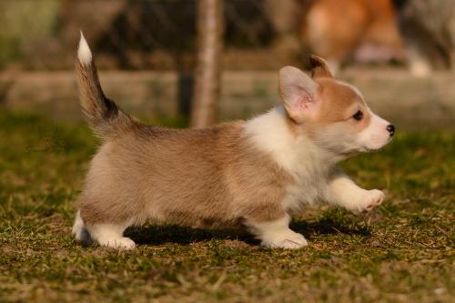 27029667 c27e9dda9dc818872ed06ab5de733bae xl