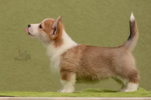 27031041 bf568cadd6e44e29bb2af3d7c842ac3e xl