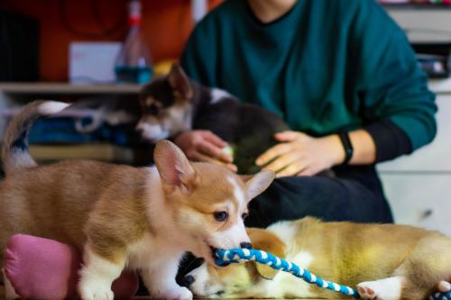 27034963 c39073e7c6d0f2cdc7018a4026a14504 xl