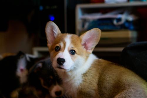 27034979 bdfa587b73ee0456e597dc72ca694f38 xl