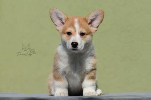 27035001 4b2302298838919eb9c75c51a99486d3 xl