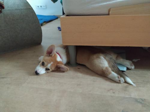 27046139 66e0b93acd0933afbbb0dd19f5390093 xl