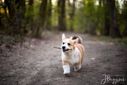 27061785 09c2fb64312dde3140d13c904384a8f8 xl