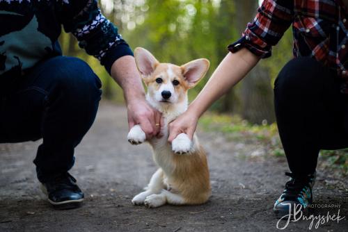 27061787 67d051f2e9401f13f528e8ab23505a96 xl