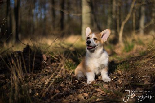 27061789 b1f6ed55fcf654e453516e4906b2565d xl