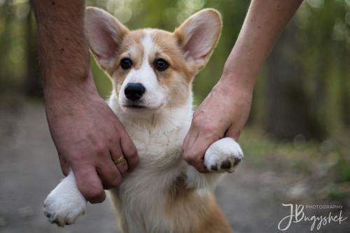 27061791 84983a1da6def945fd0e6ba38759bd23 xl