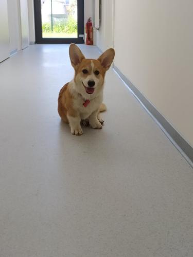 27080913 0a8af509de865bb7c1163dec0a4ec1ba xl