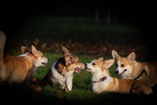 27139170 e5c6e860f5635c9b249a411cedb33126 xl