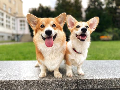 27139172 08ec173287bb5735a6769887a1ba802b xl