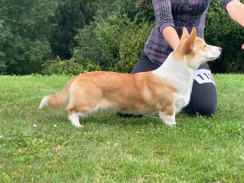 27139174 d8e968a6f82c70705591a428007aafd6 xl