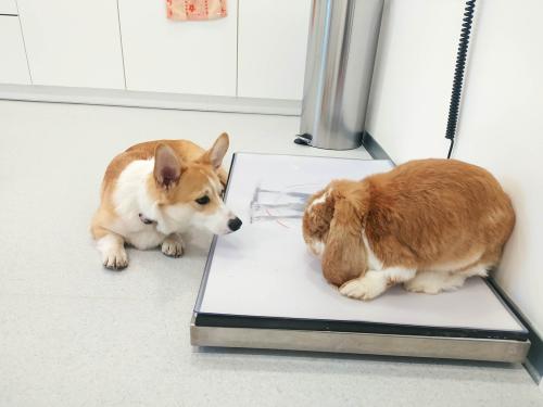 27176562 b9a7500f2005235c2b9213b211e73a5c xl