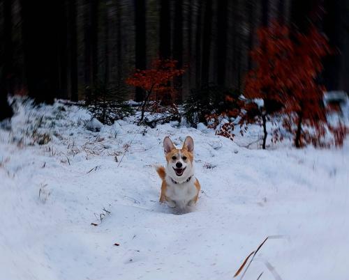 27176564 35cf71d185c26efed9767700dc768ec6 xl