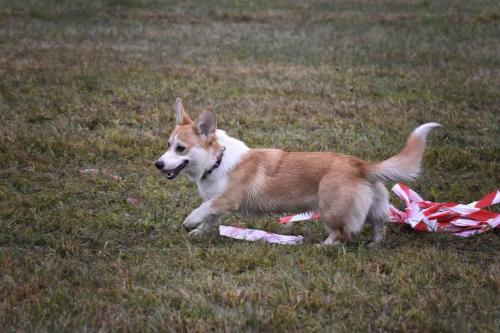 27176566 713dfde3f75f5ff406a3cf0550585e00 xl