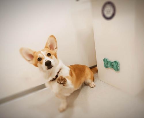 27176568 52feaee58c037afced8198783eda3592 xl