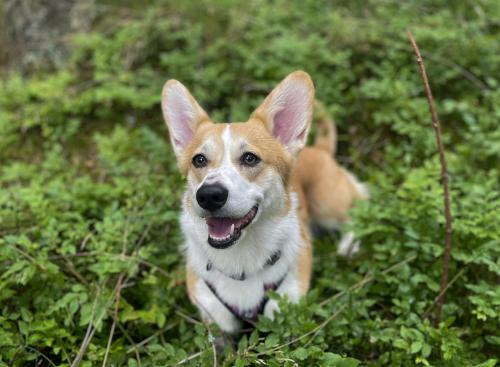 27225234 d72cafa24b8b5b5c47a5ea1824531db4 xl