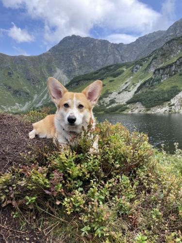 27249702 cc9d1591e3842c94aca1db6a511aab54 xl