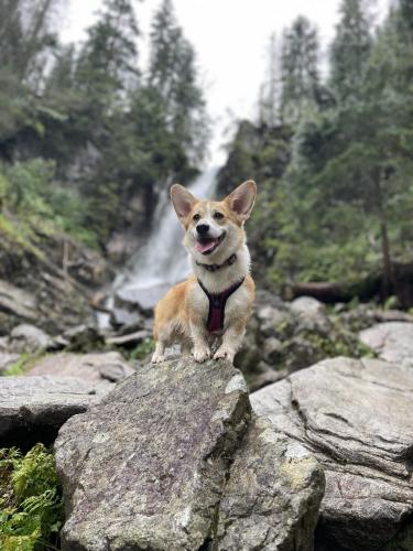 27249704 04c36e1e823fd4a0ca18a53dbd9312cc xl