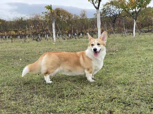 368561435 259875647057720 2368921717429502433 n