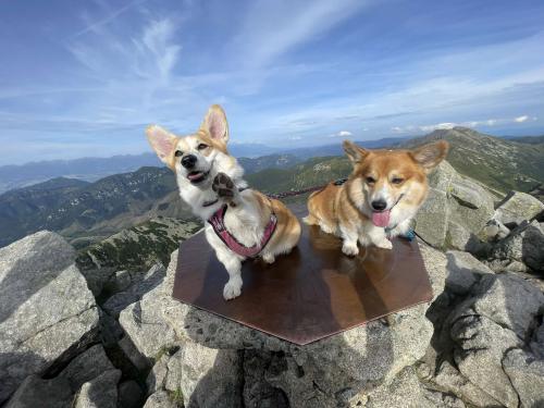 455357378 1629833117588441 2096214525244150189 n