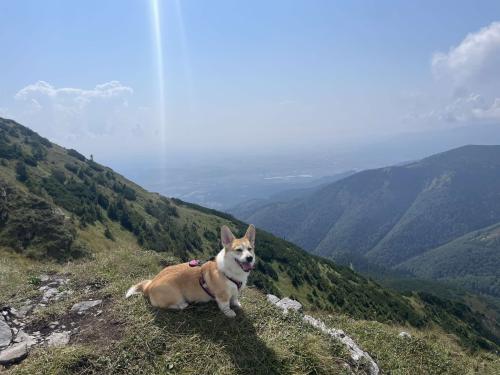 459585501 1063403558620556 2665978339356484811 n