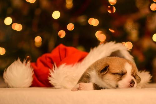 27147754 ea34b06c907481832f6b160f68ef5d12 xl