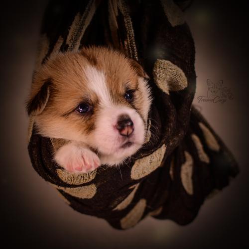 27155476 85574ea5d76a6f545e7b6b8e692b544b xl