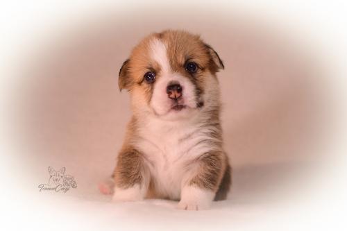 27155478 9a3873e3f83a1e5b06edd2f8174aef79 xl