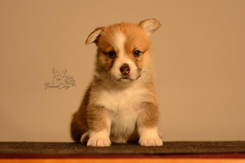 27155516 ec5f39d2fdbf09db21b8af7034fa6d9b xl