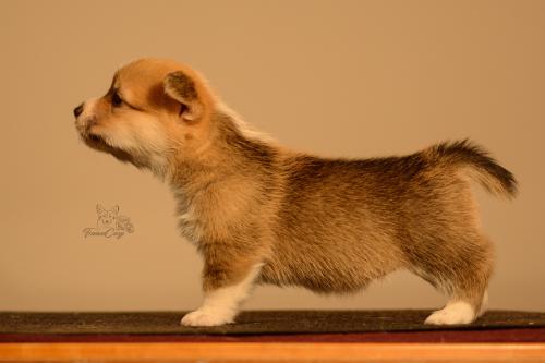 27155518 7c1288379df1498a4324c6251a3beafd xl