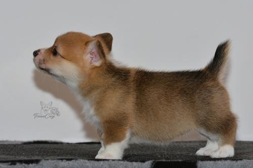 27160102 7053bb1ddccc2a052826594adbc2edae xl