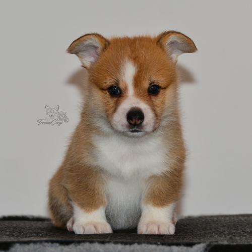 27160104 d7c9bbae17f04c828871526f53b8e254 xl