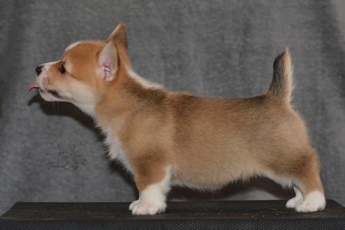 27160268 8949e4a8d248e1c232884e244a56ea50 xl