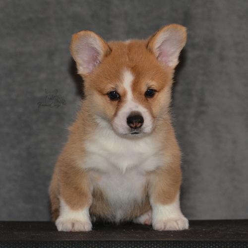 27160270 55b5d943ae72403ac0fd2c7e0b5ebca8 xl