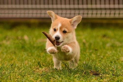 27160334 4fb59f903f2a31684369dcb483225c59 xl