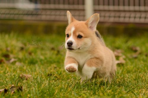 27160336 fe0841abffb01f365043bb9fb6c87eea xl