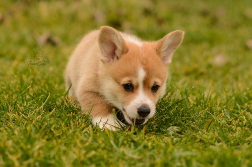 27160338 821f7c4c80dccb82714cc07047d249b8 xl