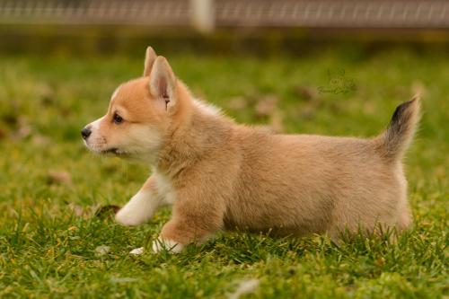 27160342 28dbc5529435fde6c8979f20f7507e09 xl