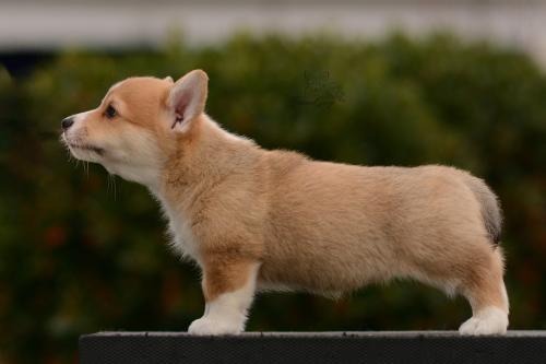 27162530 448c874d31b471b2cd9b38ea261bcf8e xl