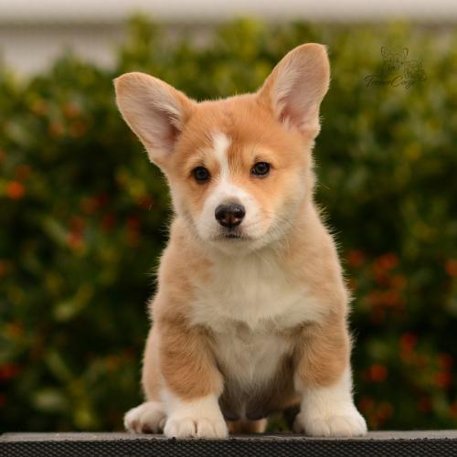 27165520 28266fd7fa37785f0a09bf956f887220 xl