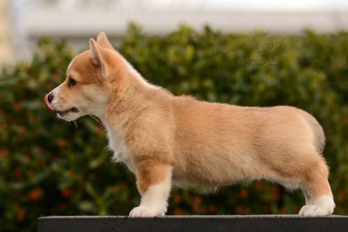 27165522 1e8b9d4b2038196057b6299a707a65b4 xl