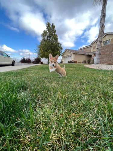 27167304 46dae7cd87b3decd532b81f2075b5474 xl