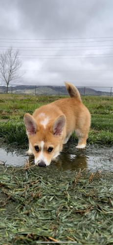 27176356 1e815d910a5e9eff969cacecbd2b7def xl