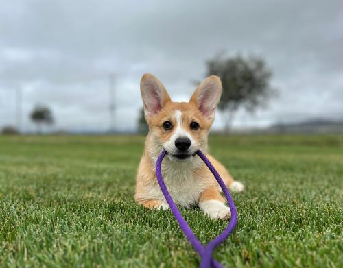 27176358 65e11c0ff865f5d4b76ed6c811171bd4 xl